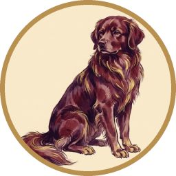 The Dog
